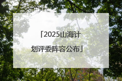 2025山海计划评委阵容公布