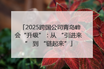 2025跨国公司青岛峰会“升级”：从 “引进来” 到 “链起来”