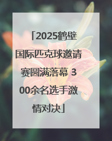 2025鹤壁国际匹克球邀请赛圆满落幕 300余名选手激情对决