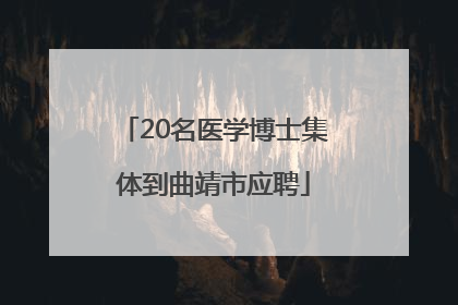 20名医学博士集体到曲靖市应聘