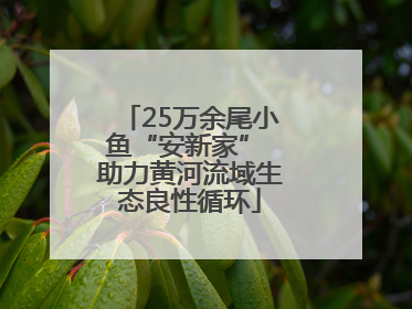 25万余尾小鱼“安新家” 助力黄河流域生态良性循环