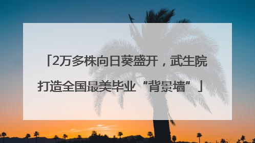 2万多株向日葵盛开，武生院打造全国最美毕业“背景墙”