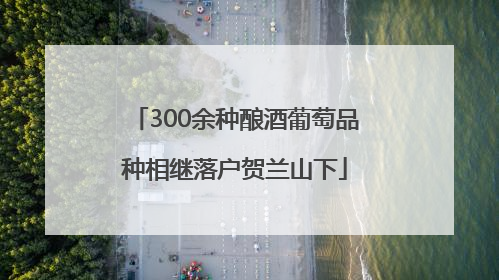 300余种酿酒葡萄品种相继落户贺兰山下