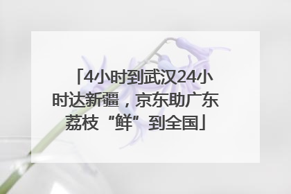 4小时到武汉24小时达新疆，京东助广东荔枝“鲜”到全国