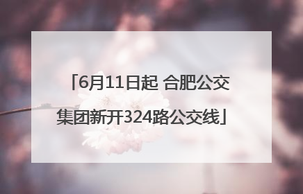 6月11日起 合肥公交集团新开324路公交线