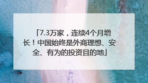 7.3万家，连续4个月增长！中国始终是外商理想、安全、有为的投资目的地