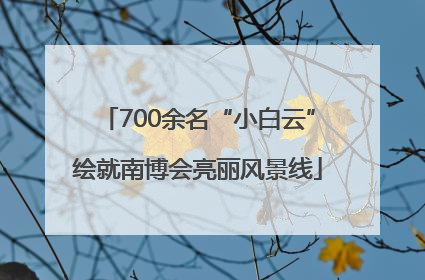 700余名“小白云”绘就南博会亮丽风景线