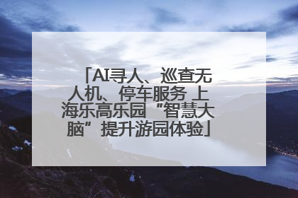 AI寻人、巡查无人机、停车服务 上海乐高乐园“智慧大脑”提升游园体验