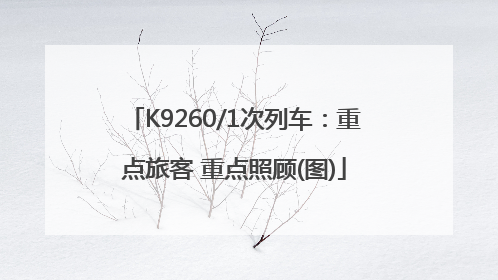 K9260/1次列车：重点旅客 重点照顾(图)
