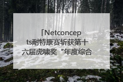 Netconcepts耐特康赛斩获第十六届虎啸奖“年度综合服务商”大奖