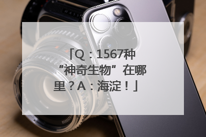 Q：1567种“神奇生物”在哪里？A：海淀！